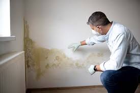 Best Emergency Mold Remediation  in North Babylon, NY